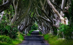 NorthernIreland1920x12004-4-2011 2_05_11 PM Bing Desktop